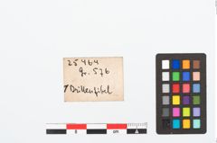 Etikett zu Bronzebrillenfibel (NHMW-PRAE-025464)